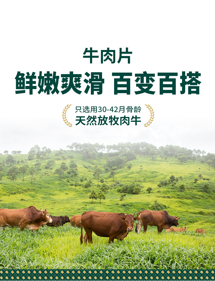 牛肉详情页3-拷贝_02.jpg